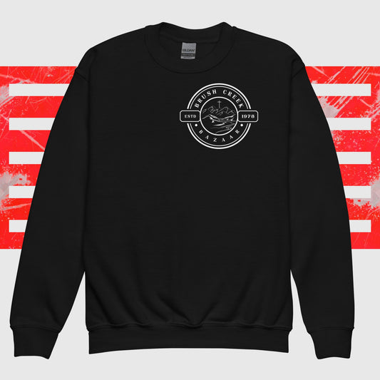 Youth crewneck sweatshirt